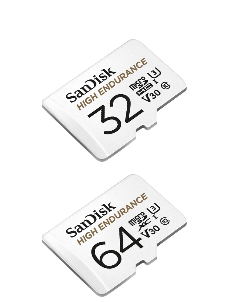 SanDisk High Endurance SD Card