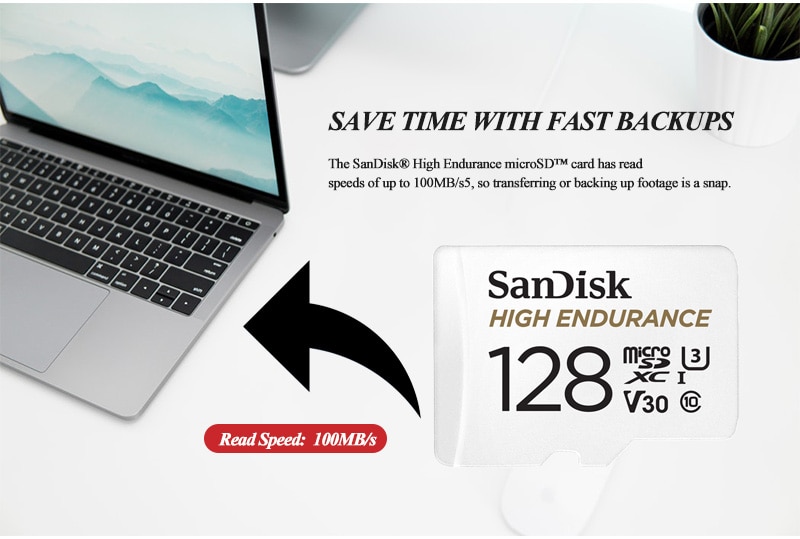 SanDisk High Endurance SD Card