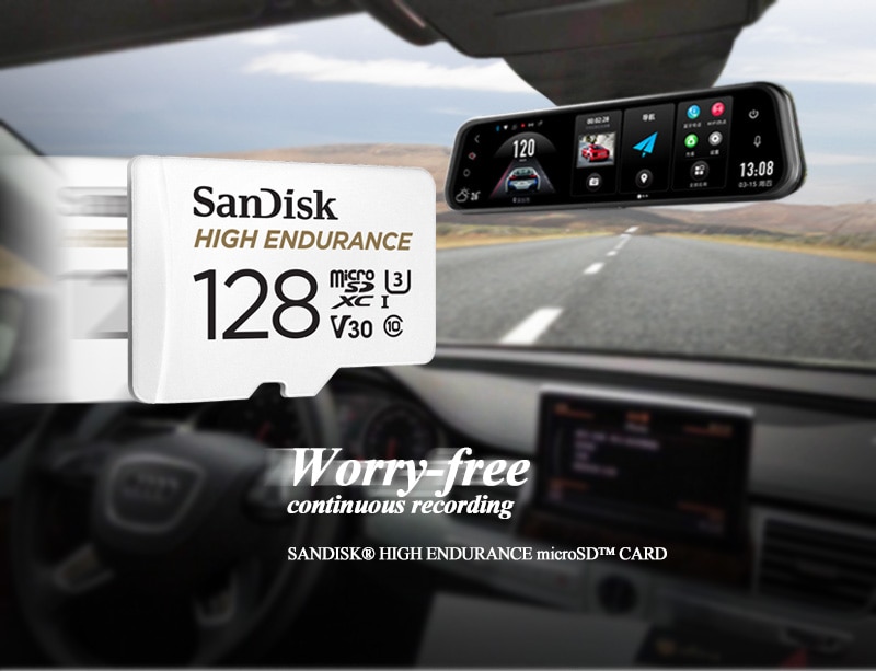 SanDisk High Endurance SD Card