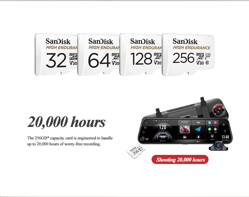 SanDisk High Endurance SD Card