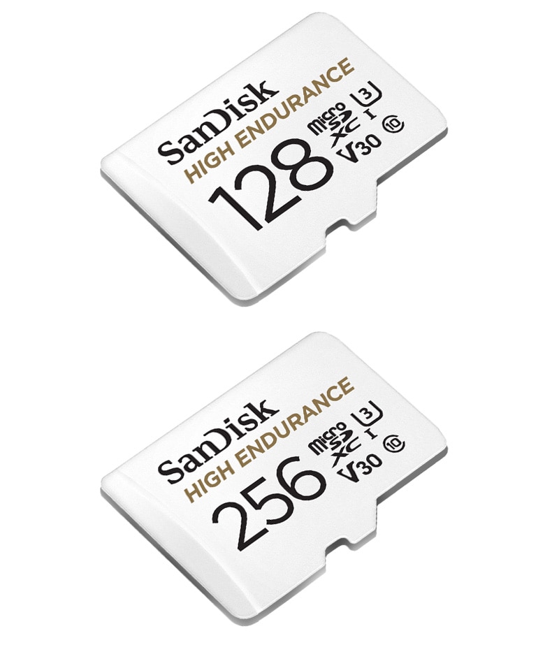 SanDisk High Endurance SD Card